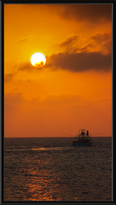 The Last Catch