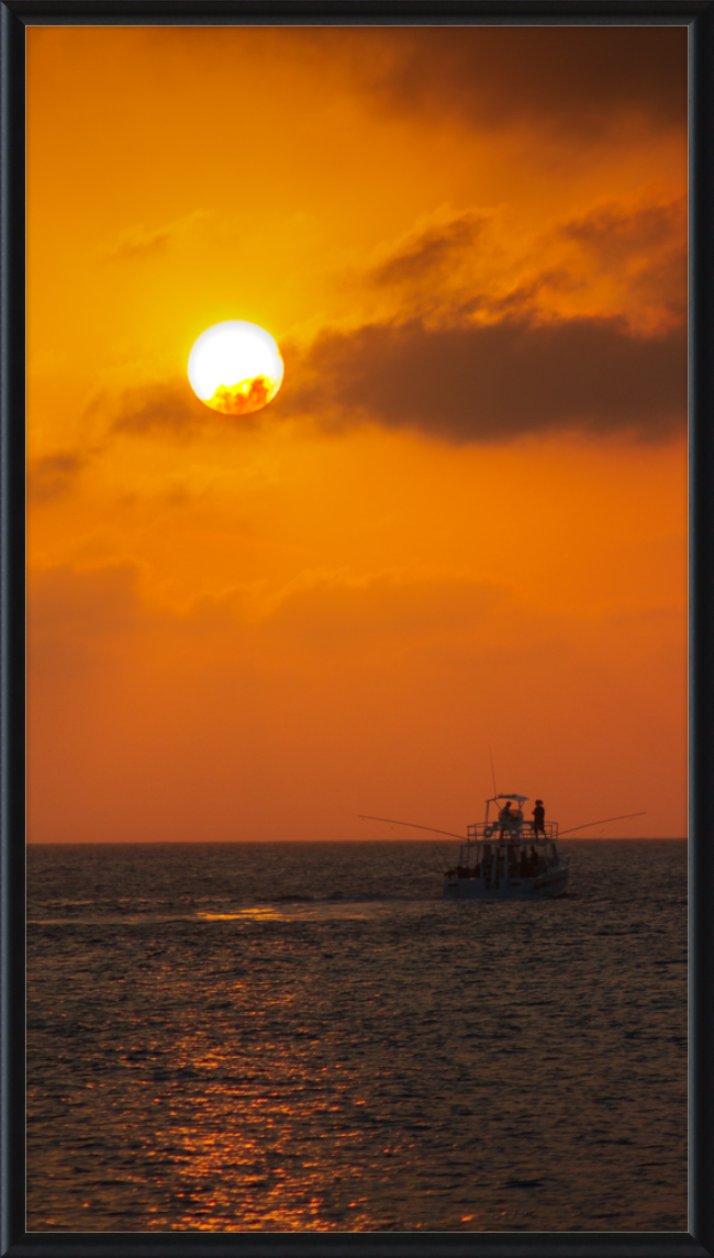 The Last Catch