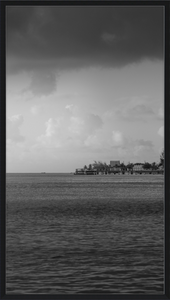 Mono Waters