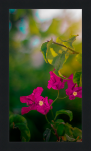 Flowers 2