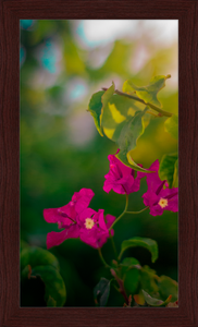 Flowers 2