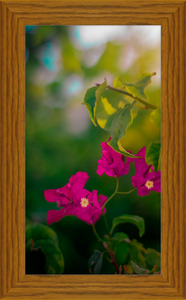 Flowers 2