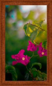 Flowers 2